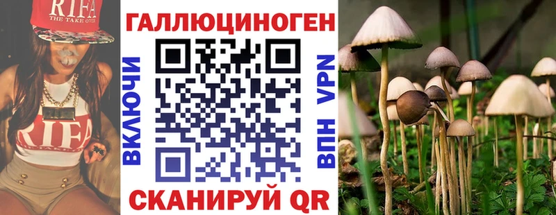 Купить  Кубинка  Галлюциногенные грибы Psilocybine cubensis 